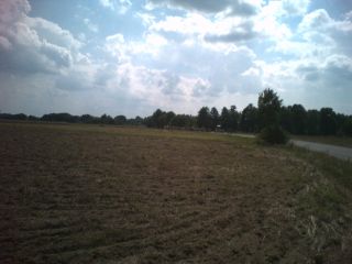 Krótko przed Radyczynami